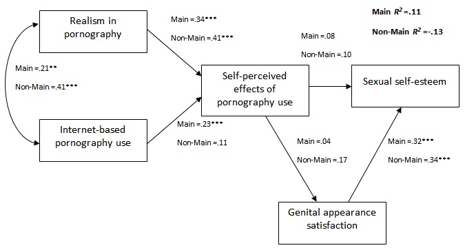 Non Porn Pic Of Genitals - Self-perceived effects of Internet pornography use, genital ...